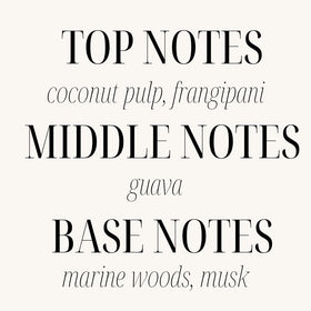 Sand + Fog middle notes guava contribute fruity depth.