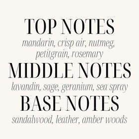 Sand + Paws fragrance notes highlight mandarin and nutmeg for a bright opening.