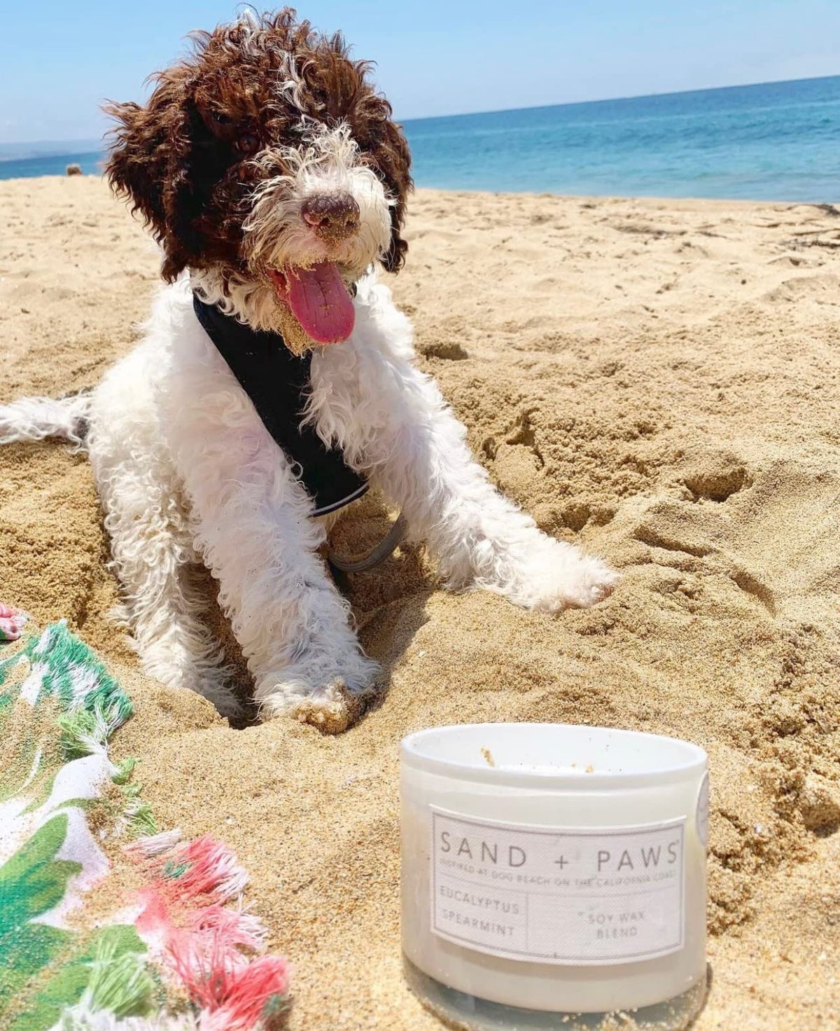 Label close-up on Sand + Paws Ocean Mist candle showcasing craftsmanship.