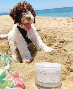 Label close-up on Sand + Paws Ocean Mist candle showcasing craftsmanship.