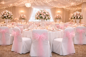 SARVAM FASHION baby pink organza sash close-up showing shimmer and edge