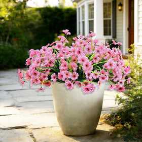 Satefello 20-bundle arrangement designed for 2ft window boxes and 9-10 inch pots