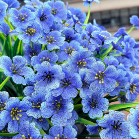 Satefello durable faux plants maintain vivid hues across seasons