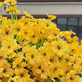 Satefello yellow artificial blooms stay vibrant all season.