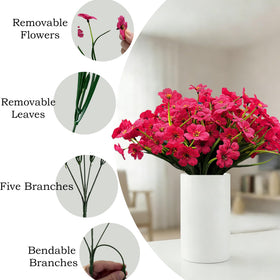Satefello year-round color without watering or maintenance.