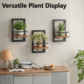 Sbosbo bedroom decor: wall shelf with plants elevates quiet corners