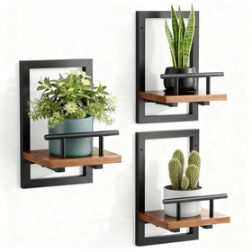 Sbosbo floating shelves wall plant holder front view showing sturdy frame and guard rail for plants