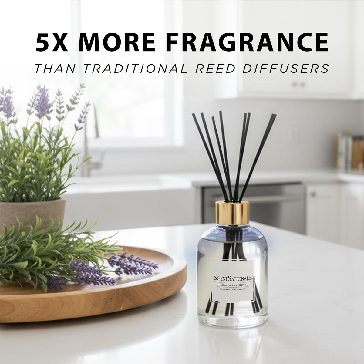Cedar and lavender notes blend with amber and marine hints for balance.
