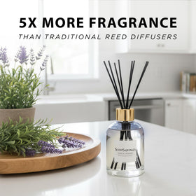 Cedar and lavender notes blend with amber and marine hints for balance.