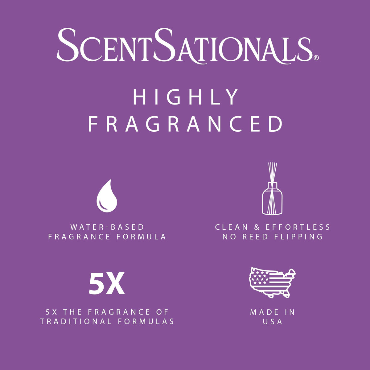 Contemporary diffuser setup blends with décor and everyday routines.