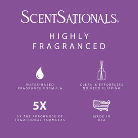 Contemporary diffuser setup blends with décor and everyday routines.