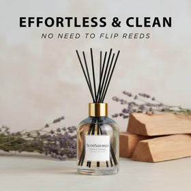 Recyclable black reeds deliver steady diffusion without frequent flipping.