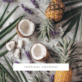 ScentAir Whisper cartridge tropical coconut highlight for steady scent.