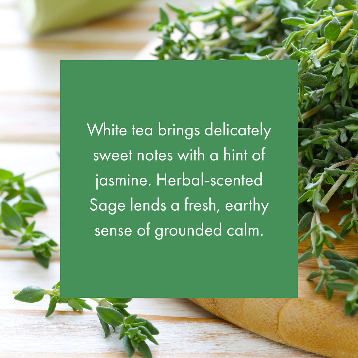 Whisper fragrance cartridge in White Tea & Thyme highlights premium scent profile.