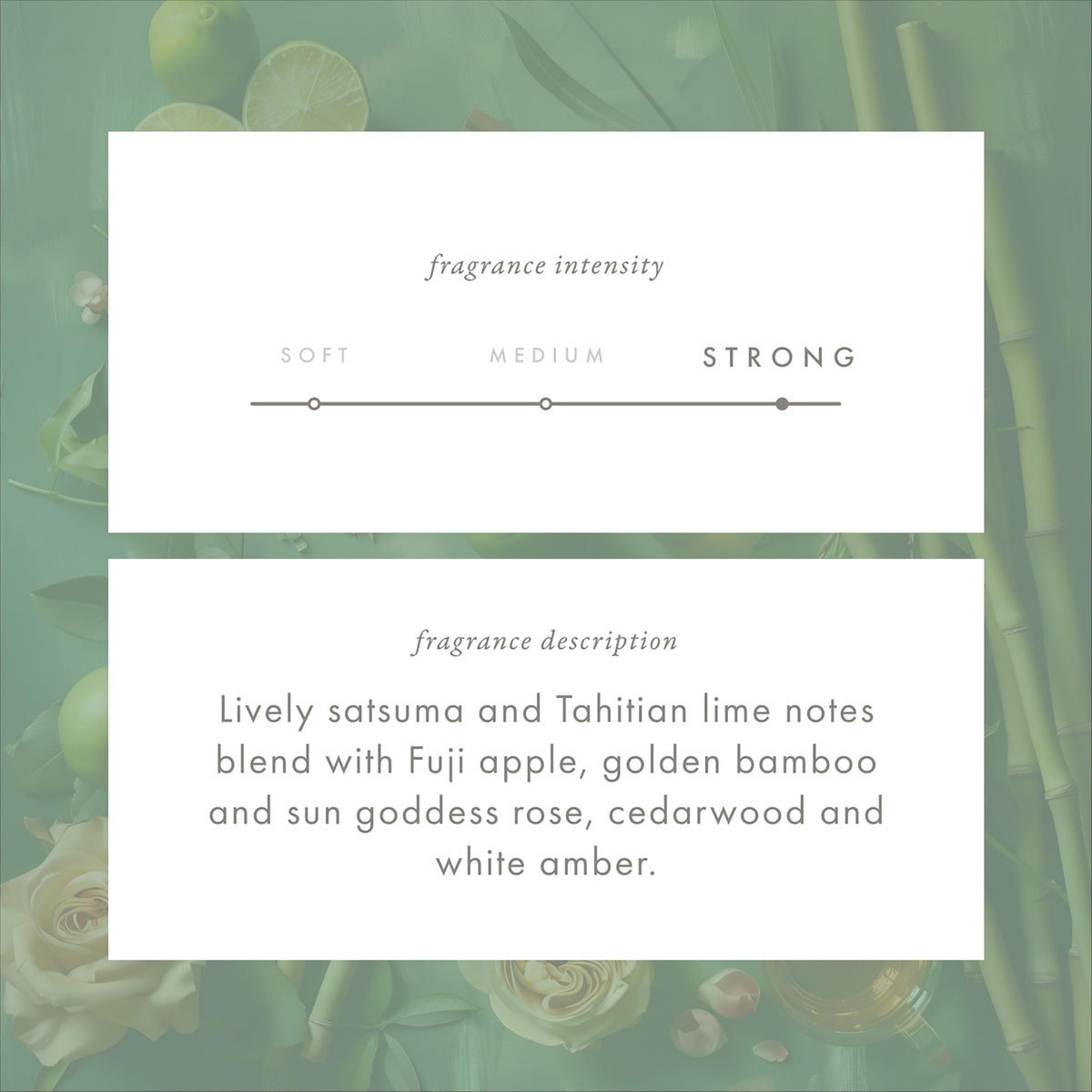 ScentAir Whisper Golden Bamboo fragrance notes highlight citrus and herbal clean scents.