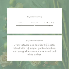 ScentAir Whisper Golden Bamboo fragrance notes highlight citrus and herbal clean scents.