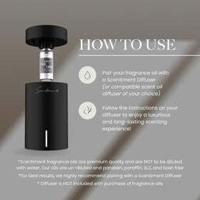 Scentiment Day Dream diffuser oil blend of white tea and jasmine for serene atmosphere