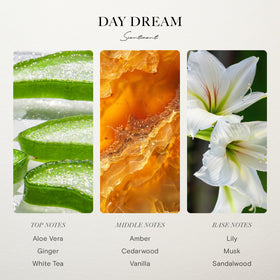 Scentiment Day Dream fragrance oil swatch showing aloe, cedar, and white tea blend.
