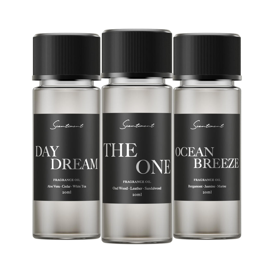 Scentiment Day Dream fragrance oil for calming living spaces and cozy evenings