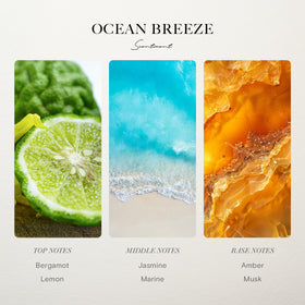 Scentiment Ocean Breeze highlights marine and amber notes for serenity in any room.