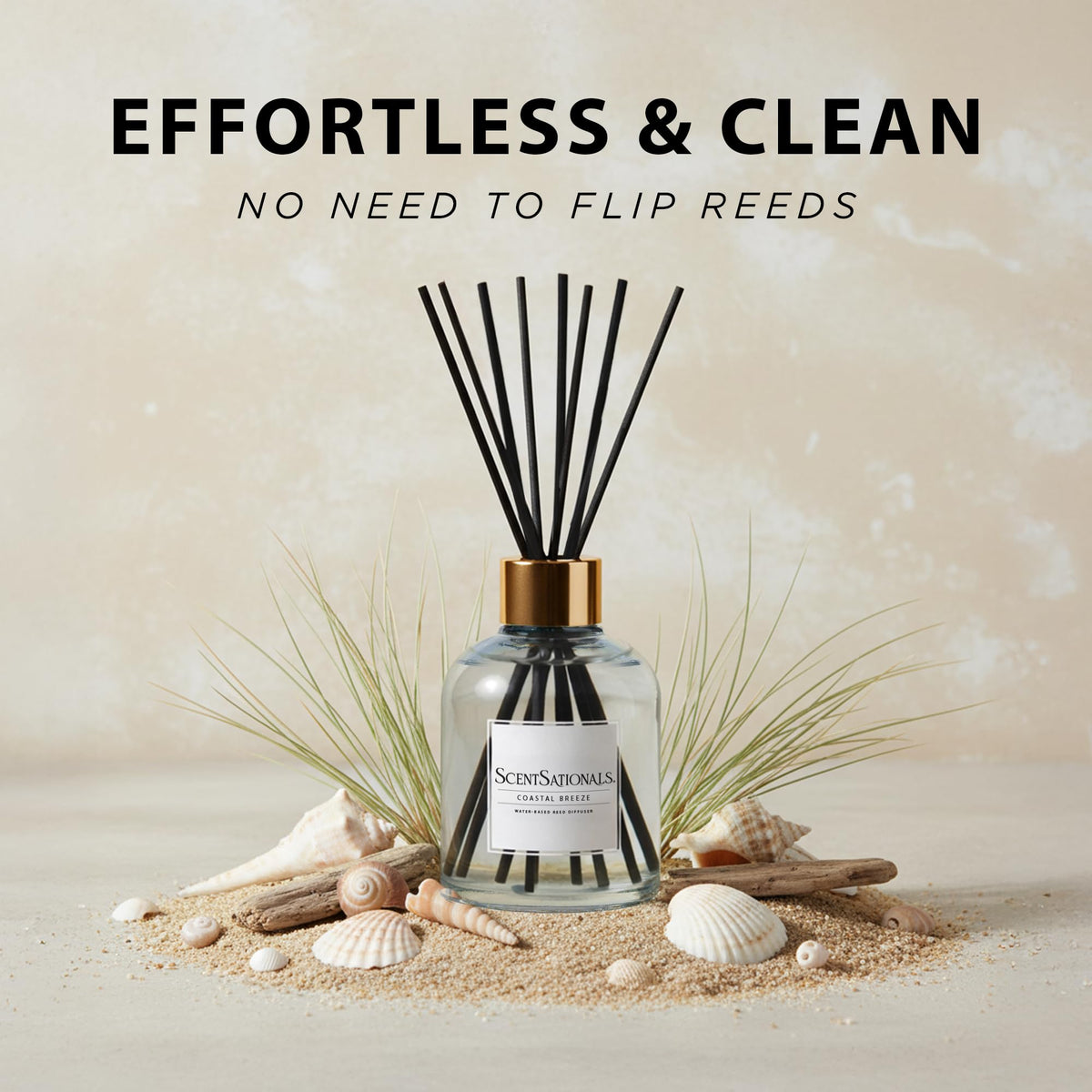 Scentsationals Coastal Breeze creates a fresh coastal ambience in a living room.