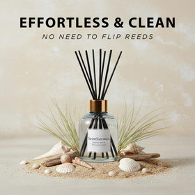 Scentsationals Coastal Breeze creates a fresh coastal ambience in a living room.