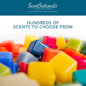 Scentsationals lantern warmer pairs with melts for cottage farmhouse vibes.