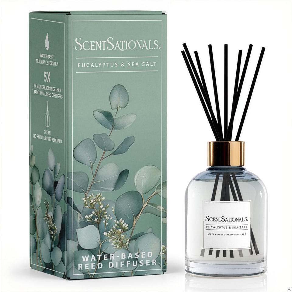 ScentSationals water-based diffuser bottle with eucalyptus-sea salt blend for crisp coastal ambiance
