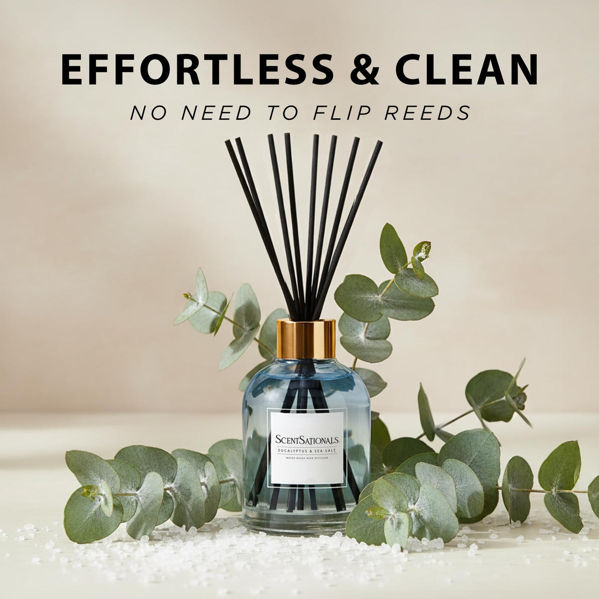 ScentSationals bottle on shelf highlighting recyclable glass and ombre design