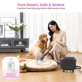 Schenley 21-in-1 steam cleaner chemical-free cleaning with purified water