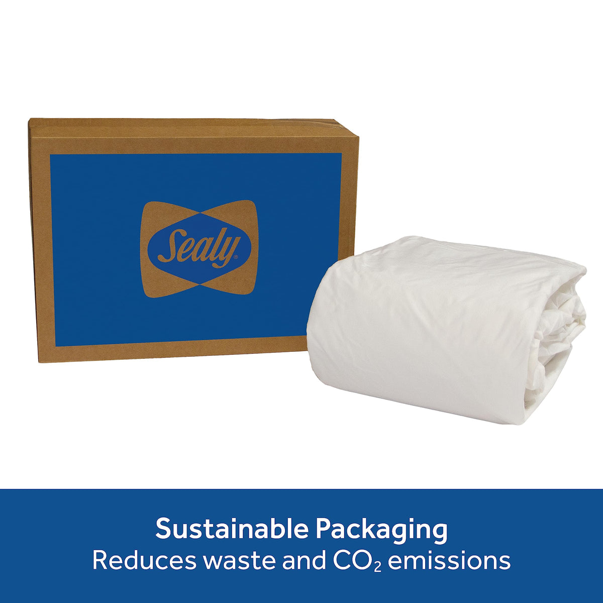 Sealy lifetime warranty adds confidence in durable mattress protection.