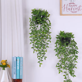 Season 2 Season indoor outdoor decor-hanging-plants enhances offices and living areas.