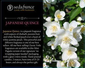 Seda France Japanese Quince candle wick featuring zinc core for steady burn.