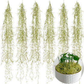 SEEKO Spanish moss 6-pack closeup showcasing lifelike texture for realistic indoor décor.