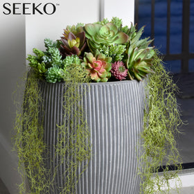 SEEKO Spanish moss 6-pack ideal for DIY crafts with no watering or mess.