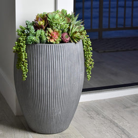 SEEKO Succulents 14-pack perfect for gifting or seasonal displays with easy upkeep.
