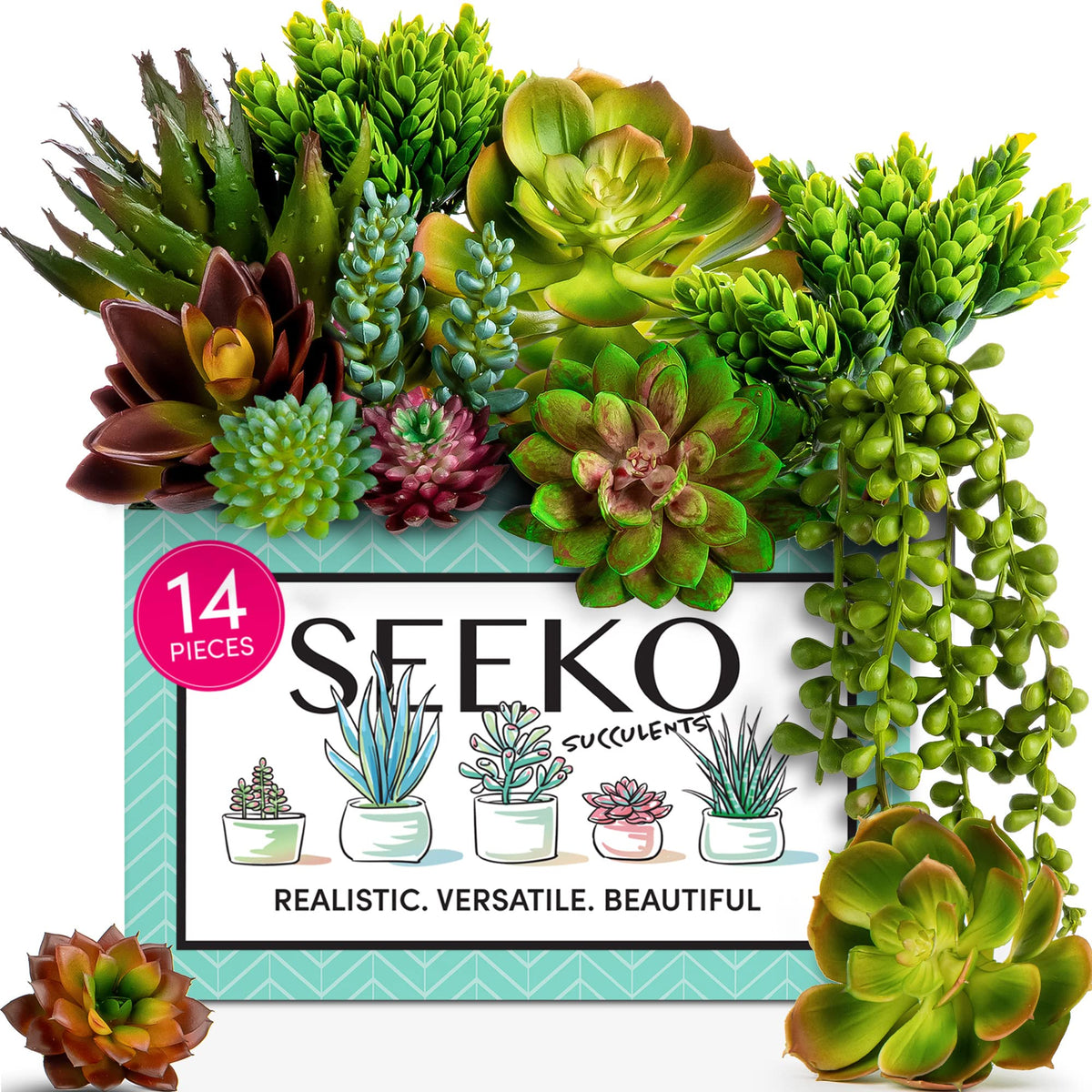 SEEKO Succulents 14-pack varieties echeveria for lifelike beauty in modern home decor.