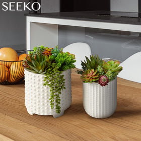 SEEKO Succulents 28-pack high-detail close-up highlights lifelike textures.