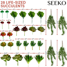 SEEKO Succulents 28-pack indoor-outdoor display adapts to homes and offices without upkeep.
