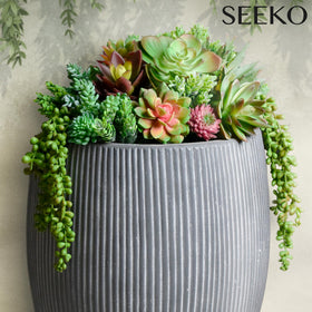 SEEKO Succulents 28-pack string of pearls offers trailing elegance for shelves.