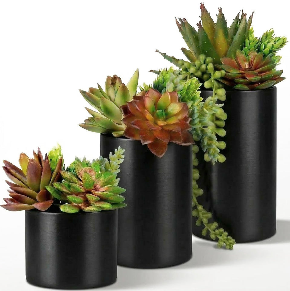 SEEKO Succulents three-pack in ceramic pots for modern, low-maintenance decor.