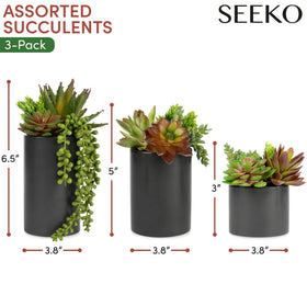 SEEKO Succulents three-pack in black ceramic pots on a desk.