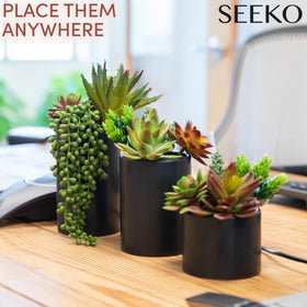 SEEKO Succulents three-pack in ceramic pots suitable for wedding decor.