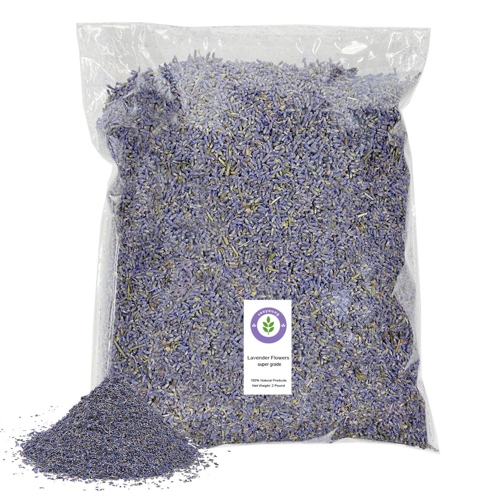 Seeyoung lavender buds close-up showing vibrant color and fresh fragrance