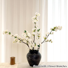 Senjie cherry blossoms close-up shows soft petals for a lifelike look