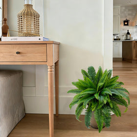 Senjie outdoor indoor friendly greenery with no watering required