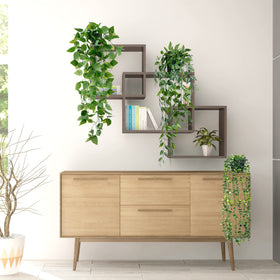 Sggvecsy Boston fern hanging plant in pot brings lush greenery indoors.