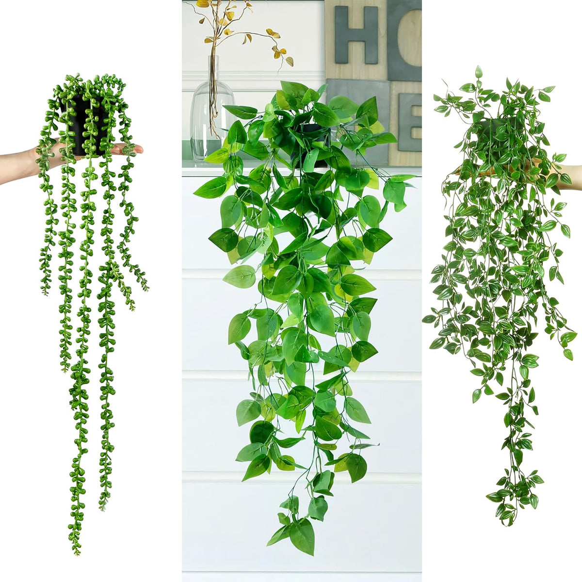 Sggvecsy pea pod leaves hanging plant in pot adds whimsy to decor.