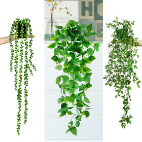 Sggvecsy pea pod leaves hanging plant in pot adds whimsy to decor.
