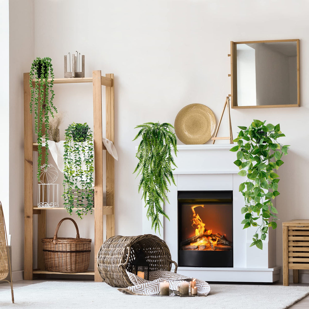 Sggvecsy string of pearls in pot brightens walls and shelves.